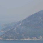 trstenik pozar9