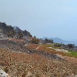 trstenik04