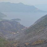 trstenik06