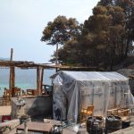 trstenik12