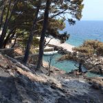 trstenik14
