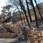 trstenik15