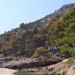 trstenik18