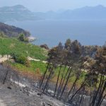 trstenik24