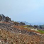 trstenik26