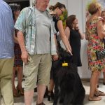 FOTO Vrtovi dubrovačkih ljetnikovaca kroz oči Fadila Vejzovića 9 vejzovic 9