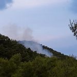 Mljet Prozura Pozar 2