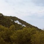 Mljet Prozura Pozar 8