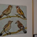 animalia 6