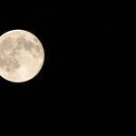 blue moon 8