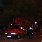 bor doc lapad palo drvo 170815 25