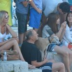 divlja liga 2015 31