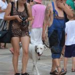 djir stradun15082015 15