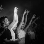 fedde le grand revelin 2015 4