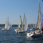 juznodalmatinska 2015 2
