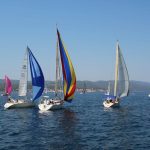 juznodalmatinska 2015 3