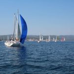 juznodalmatinska 2015 4