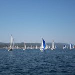 juznodalmatinska 2015 5