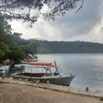 pozar nacionalni mljet2