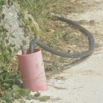 setnica uvala nika meda pucica 220815 5