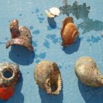 FOTO Poljaci zatečeni s dijelovima amfore i dva zaštićena puža bačvaša 1 amfora puz zapljena