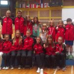 badminton aedium