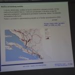 peljeski most studija okolis predstavljanje 240915 12