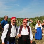 FOTO Ovako se nekad pravilo vino u Konavlima 7 trganje konavle agroturizam 090915 7