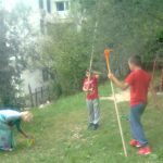 eko omblici maslina 13