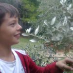 eko omblici maslina 17