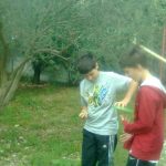 eko omblici maslina 2