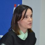 hdz izbori vuckovic
