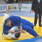 judo kup 11