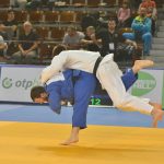 judo kup 31