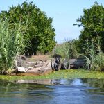 neretva safari 18