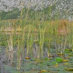 neretva safari 199