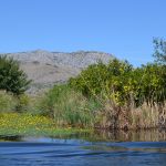 neretva safari 26