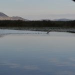 neretva safari 266