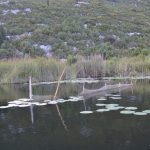 neretva safari 273