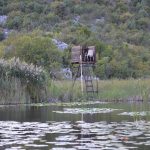 neretva safari 275