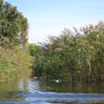 neretva safari 29