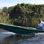 neretva safari 31