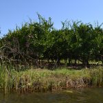 neretva safari 33