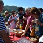 neretva safari 4
