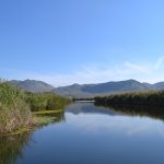 neretva safari 51