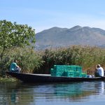 neretva safari 54