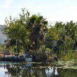 neretva safari 58