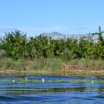 neretva safari 79