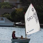 orsan jedrenje optimist 15