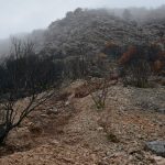 peljesac trstenik poplava 2
